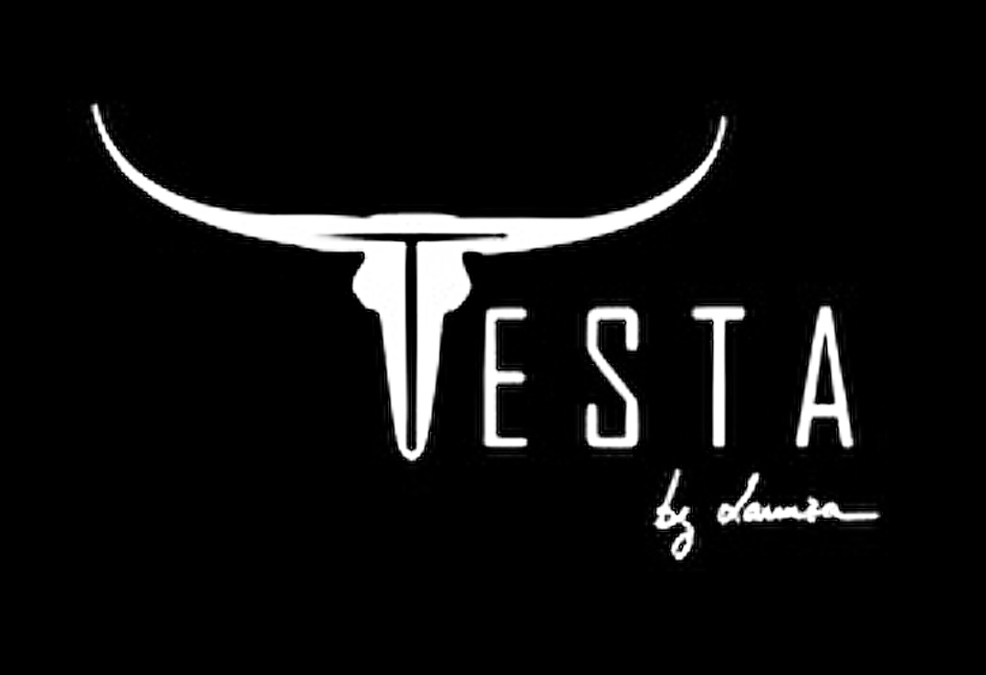 Logo Testa By Lanuza